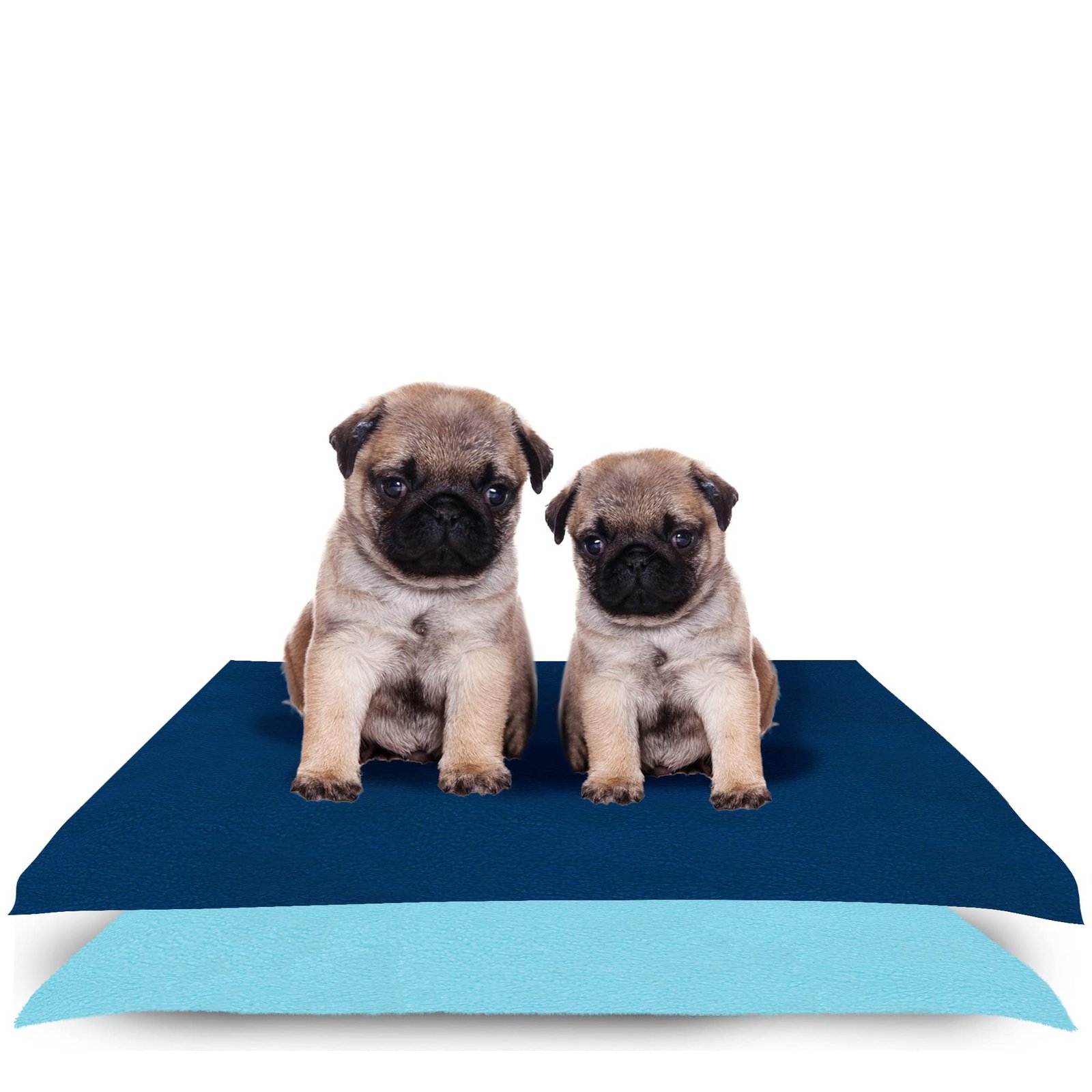 AMORITE Large Dog Potty Training Mat 140 X 100 Dark Sea Blue + Sea Blue Pack of 2 | Washable Pee Pad for Dogs | Leakproof Dog Urine Floor Protector | Non-Slip Pee Mat for Dogs and Puppies